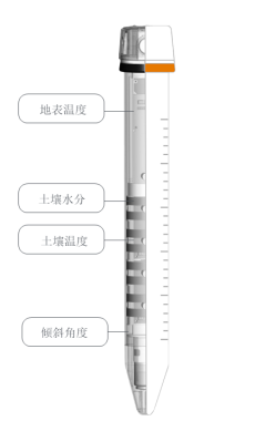 自动化安全监测工程